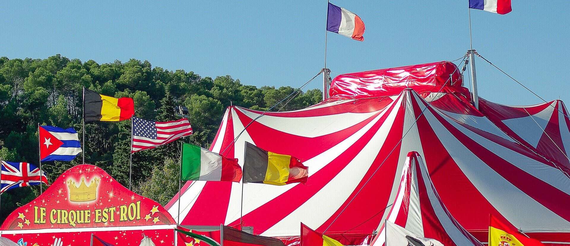 Stadträtin Anja Hirschel (Piraten) verzichtet auf Zirkusvorstellung – Wildtiere gehören nicht in die Manege